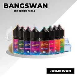 น้ำยาบุหรี่ไฟฟ้าซอลนิค บังสวรรค์ รสชาติผลไม้