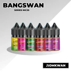 น้ำยาบุหรี่ไฟฟ้าซอลนิค บังสวรรค์ มีหลายรสชาติ